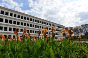 Foto: Evelynne Gubert/TCU